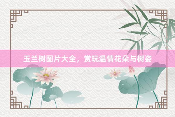 玉兰树图片大全，赏玩温情花朵与树姿