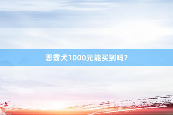 恶霸犬1000元能买到吗?